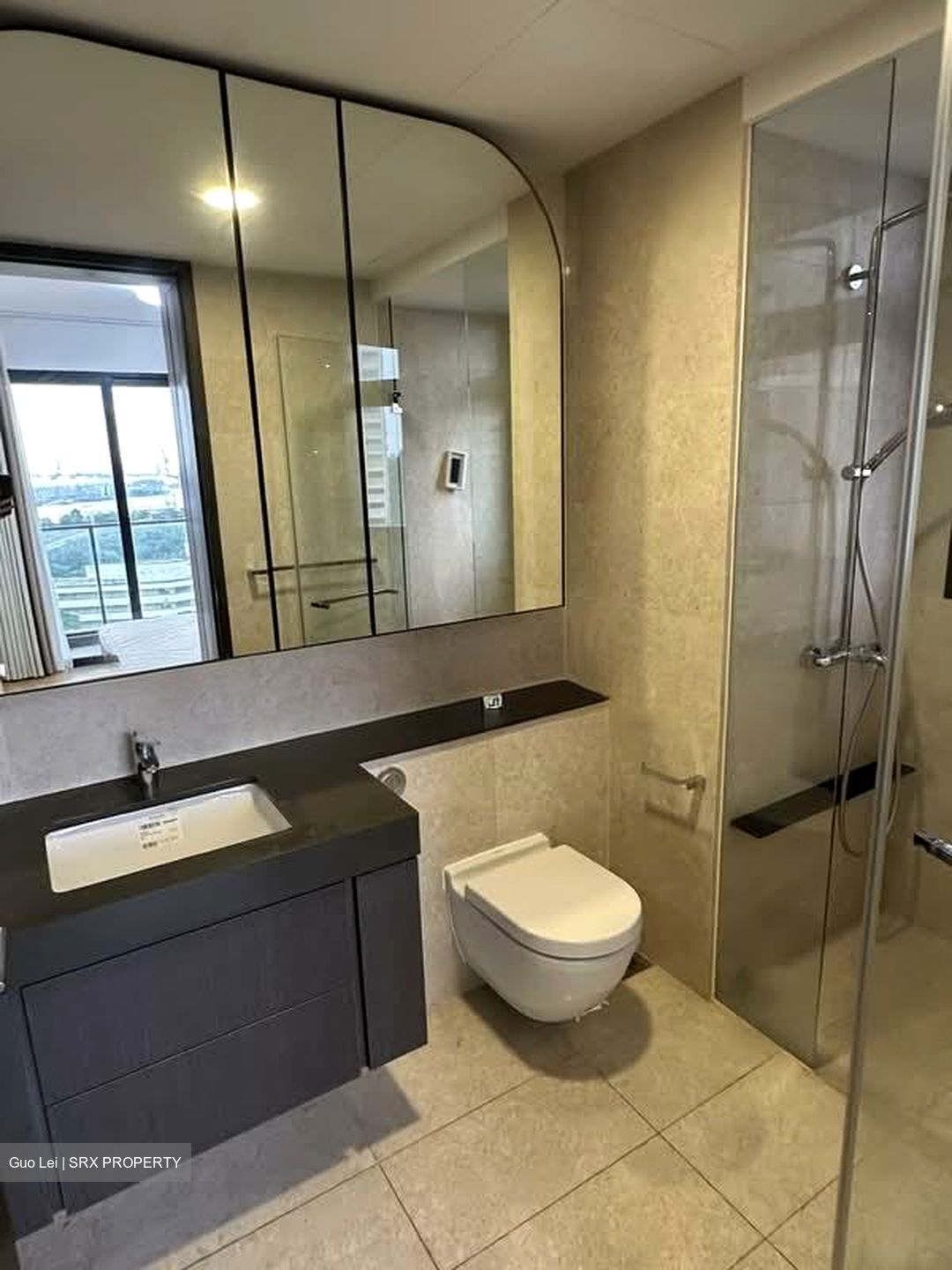 Avenue South Residence (D3), Apartment #581896941